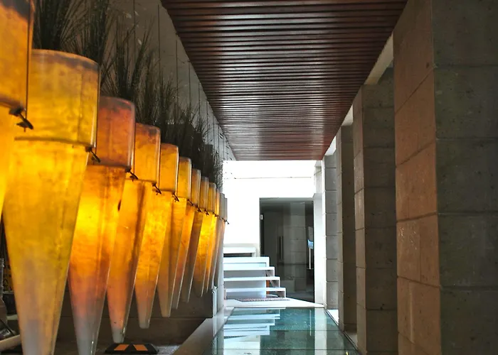 Apartment Business Sg Mexico City